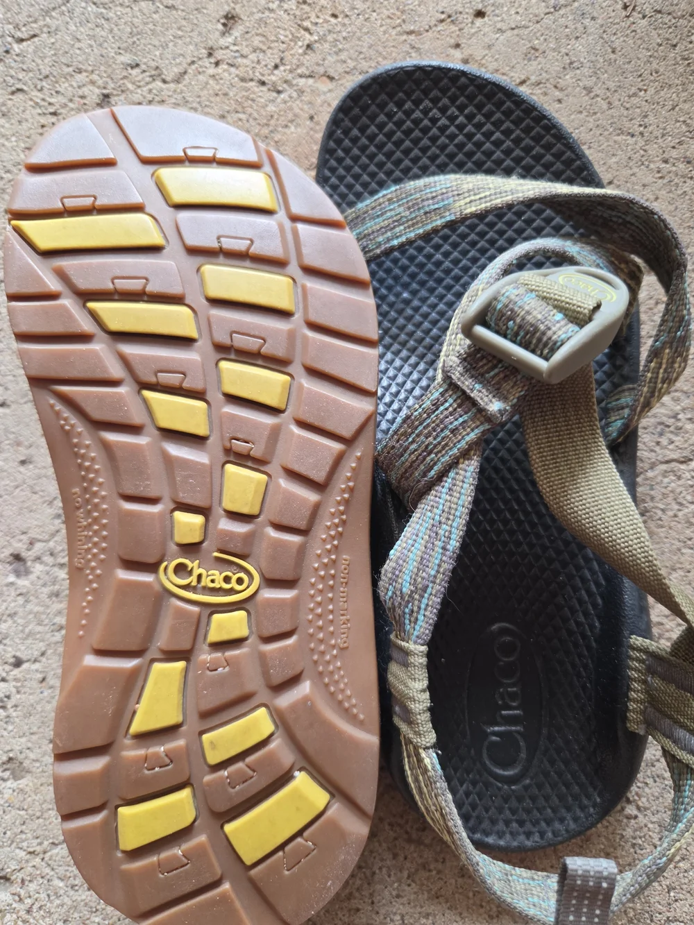 Chaco Kid's Olive Multicolor Webbing Sandals with Black Footbed